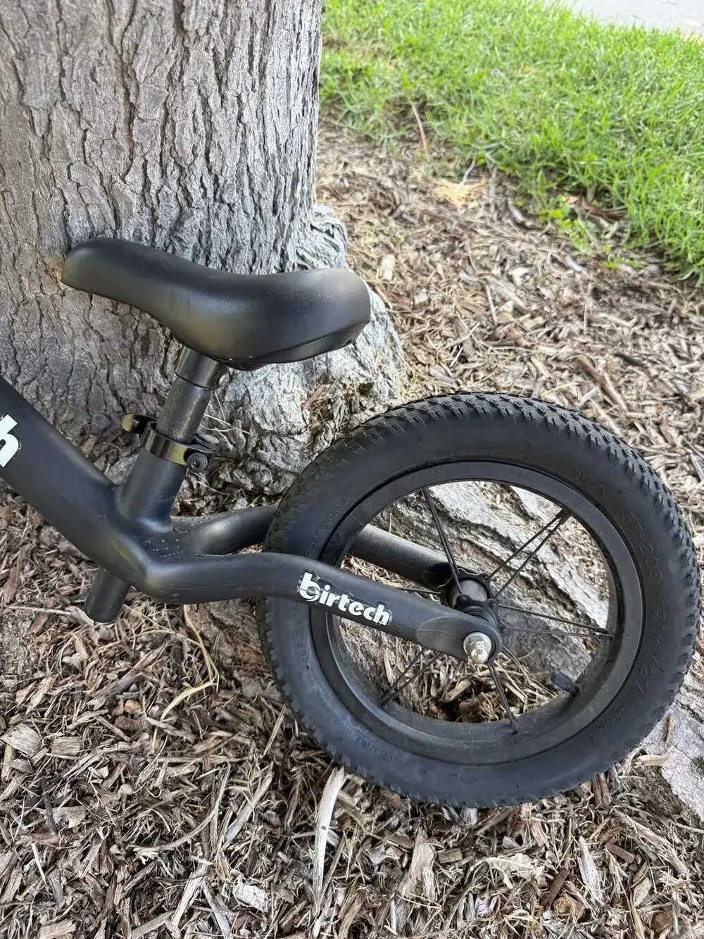 Birtech 12 Inch Kids Balance Bike with Air Tires